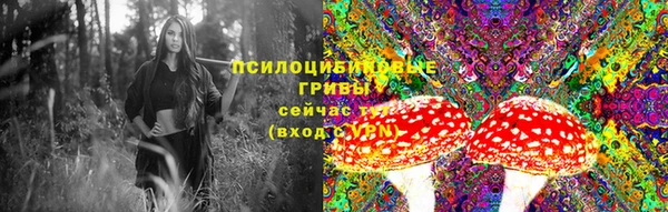 герыч Абаза