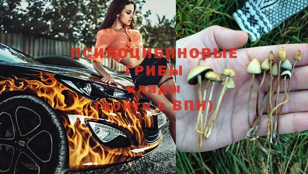 герыч Абаза