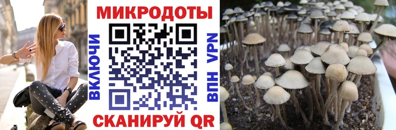 Галлюциногенные грибы Cubensis  Монино 