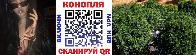 Конопля White Widow  Монино 